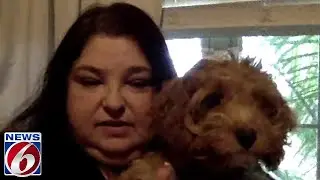 Ginger Gadsden talks doodles with Florida rescue group
