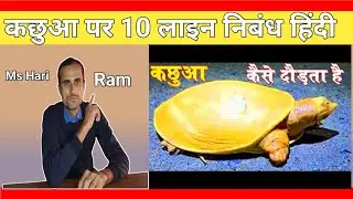 कछुआ पर 10 लाइन निबंध हिंदी । 10 lines on Tortoise । Kachhua per nibandh ।