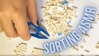 ASMR Sorting Lego Bricks With Morrachi