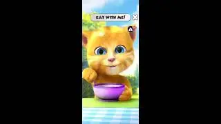 Talking Tom Cat Food Gameplay Live 🍉🌶️😺😹