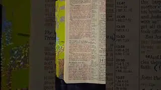 Parable of the Hidden Treasure & the Pearl #god #jesus #christian #bible #shorts #faith #love #hope