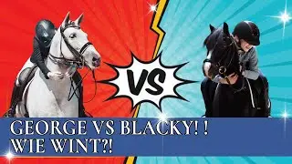 PAARDENRACE tussen GEORGE en BLACKY | PaardenpraatTV