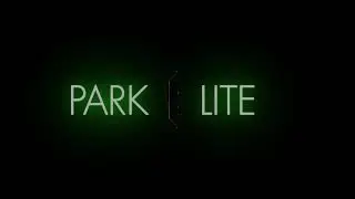 AUTOMATISCHE PARKSCHEIBE - DIGITAL & ELEKTRONISCH - NEEDIT PARK LITE