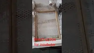manual Turner tray for thrmakol Incubator 9992762304