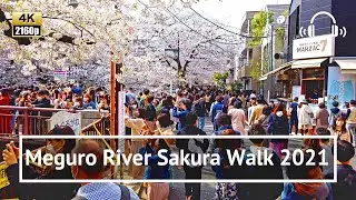 [4K/Binaural] Meguro River Sakura 2021: Osaki to Ikejiri-ohashi through Naka-meguro - Tokyo Japan