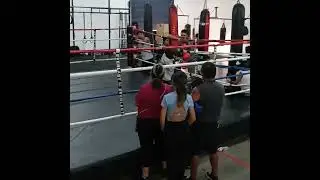 tazmanian boxing club kids sparring day
