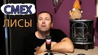 Shamil Idiatullin Laughing Fox