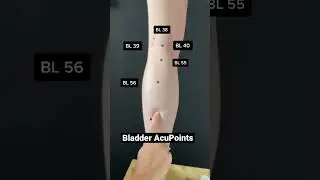 Bladder Meridian Acupuncture Points of the lower leg #acupuncturepoints