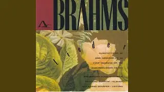 Zigeunerlieder, Op. 103: No. 8, Horch, der Wind klagt in den Zweigen traurig sacht