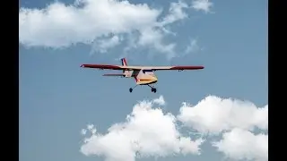 82