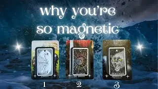 Your unique charm 💞 How you draw people in 🤭 Timeless Tarot Pick a Card