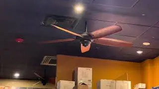 Hampton Bay Altura Ceiling Fans 68&rdquo; At An Asian Restaurant 