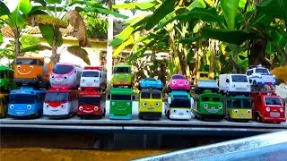 Tayo the Little Bus, Pat, Frank, Genie, Kinder, Titipo, Ruby, Lani, Rogi