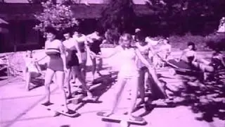 The Jaguars - The Dog Catcher