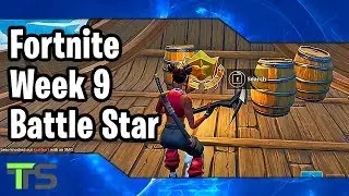 Fortnite Season 8 Week 9 Secret Battle Star Location