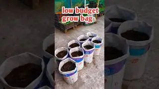 low budget grow bag 😔 #shorts #farmer #gardeningtips #ytshorts