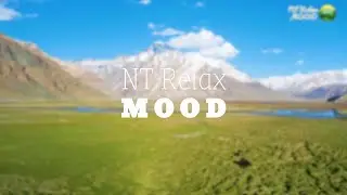 NT Relax MOOD - Journey Healing piano music for Stop Overthinking, Stress Relief, Sleep, Calming.