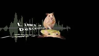 Random | OBS mixing, animation and other sorts of trickery