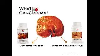 DXN RG GL presentation - ganoderma mushroom