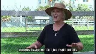 Residents Express Concerns About the Lack of Green Space in Flagler Village, Fort Lauderdale
