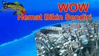 Cara Membuat Bonsai Aquascape dengan kayu senggani