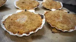 Ракушки из морских гребешков по-бретонски - рецепт Анти-Гаспи