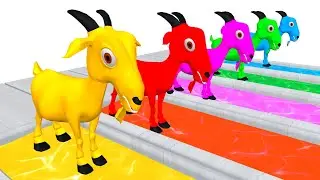 Colour animals 5 giant House Animal Game 3d Fountain Crossing Transformation paint Animals