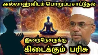 அல்லாஹ்விடம் பொறுப்பு சாட்டுதல் | இறைநேசருக்கு கிடைக்கும் பரிசு | #meignaanam #quran #bayan #tamil