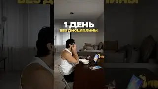Прожил день без Дисциплины. Итоги в описании
