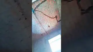 Wall Cutting for Electrical Wiring | Professional Work #shorts #deltaelectrix