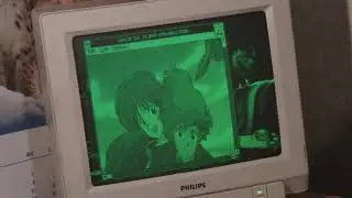 WinGIF on Windows 3.1 w/ Hercules Monochrome (green monitor 50Hz) (TTL mono)