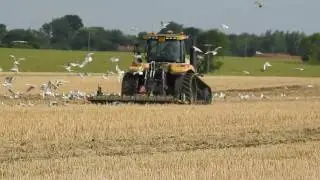 Seagulls following tractor ploughing