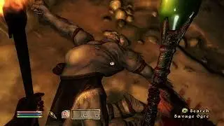 Savage Ogre