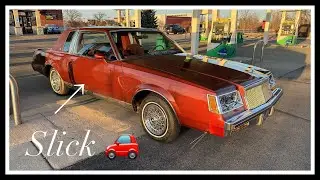 Ceramic coating my single stage paint 1982 Buick regal
