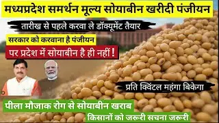 MSP soybean registration panjiyan समर्थन मूल्य सोयाबीन खरीदी पंजीयन केंद्र #soyabean #panjiyan #MSP