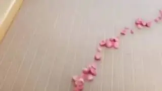 Jilly Anais&rsquo; Birthday Gift!