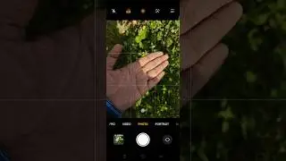 How to do Macro Photography (Auto Focus Lock)in #OnePlus13R