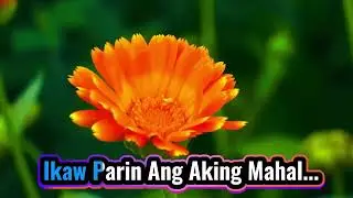 MULI MONG MAHALIN-KING-CJ KARAOKE 🎤 MUSIC AND LYRICS-#karaoke#opm #minusonekaraoke