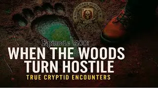 When The Woods Turn Hostile: True Cryptid Encounters!