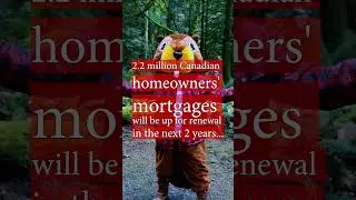 Best mortgage rates in Canada! #beavers #mortgagehelp