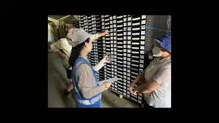 Rui Yan Internet android PDA scanner for fruit sorting