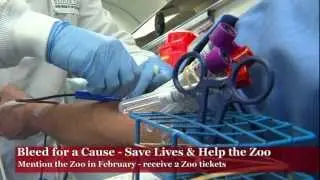 Bleed for a Cause - Cincinnati Zoo
