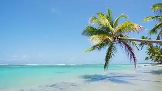 Travel undeniably brings happiness to people.