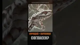 КУРЕНИЕ=НАРКОМАНИЯ. Согласен?
