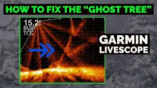 3 TIPS on How to Eliminate the Ghost Tree - Garmin Livescope Settings Ghost Reject