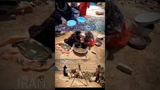 Nomadic Life in Iran: Traditional Dairy Making in Harmony with Nature