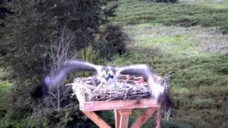First Flight