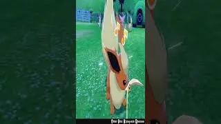 Playing Feather Wand with Flareon #shorts