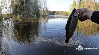 Avovesikauden avaus Keski-Kymell&auml;