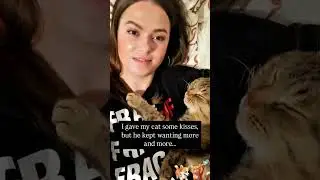 Cats and Dogs TV   Daily Pawcast Part 176